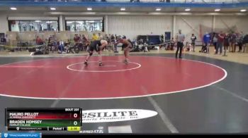 197 lbs Quarterfinal - Braden Homsey, Ferrum College vs Mauro Pellot, Alvernia University