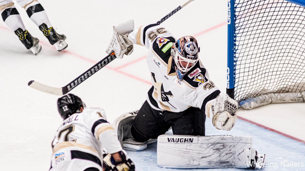 Hayden Hawkey's Wild Ride From Montreal Canadiens To The Wheeling Nailers