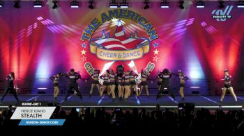 Fierce Idaho - Stealth [2024 L5 Senior Coed Day 1] 2024 The American Northwest Portland Nationals