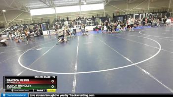 70 lbs Quarterfinal - Boston Brindley, Elite Wrestling vs Braxton Olson, Badlands Elite