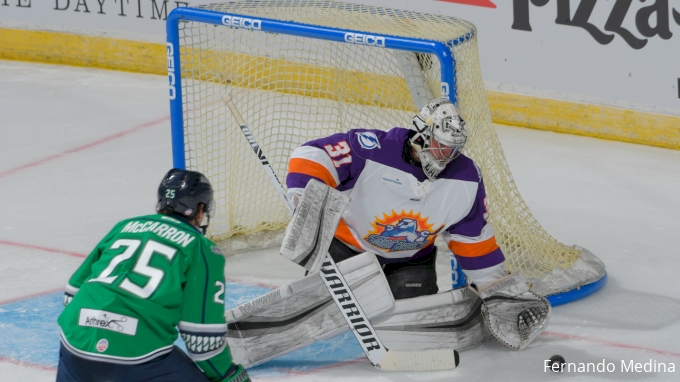 Need something to cheer you up on a - Orlando Solar Bears