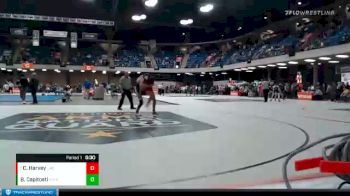 132 lbs Champ. Round 2 - Caden Harvey, Lincoln-Way Central vs Benjamin Capitosti, Matoon