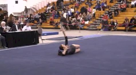 ACE (Ashleigh Gnat) - 9.525