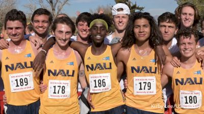 240. BTC Drops The Hammer, NAU Dominates