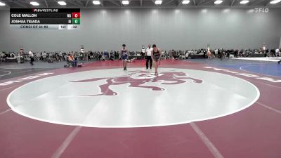 132 lbs Consi Of 64 #2 - Cole Mallon, MA vs Joshua Tejada, RI