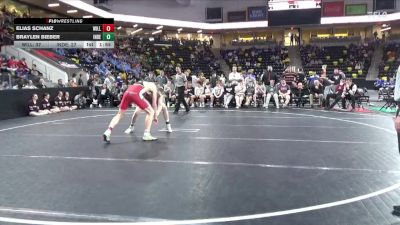 175 lbs Quarterfinal - Braylen Bieber, Independence vs Elias Schanz, Williamsburg