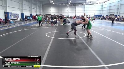 285 lbs Cons. Round 3 - Dalton Deevey, Centenary (NJ) vs Mark Ritschel, York (PA)