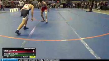 170 lbs Champ. Round 1 - Grant Carlson, Bismarck Century vs Tate Estenson, Devils Lake