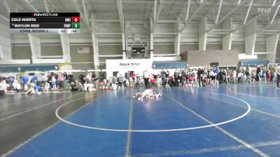 49 lbs Cons. Round 5 - Cole Huerta, Northside Wrestling Club vs Waylon Reid, Idaho