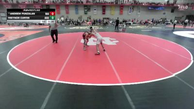 125 lbs Quarterfinal - Andrew Punzalan, Wabash vs Treynor Curtin, Augsburg