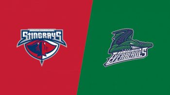 Highlights: Stingrays vs Everblades