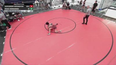 165 lbs 3rd Place Match - Isaac Hernandez, Valley View vs Alexander Sotomayor, World Team Training Center
