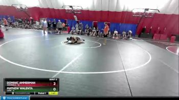 126 lbs Quarterfinals (8 Team) - Dominic Ammerman, Holmen A vs Mathew Walenta, Lena