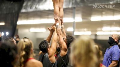 Putting In The Work: Stars Vipers Anacondas