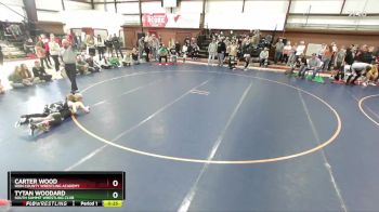 95 lbs Cons. Round 2 - Carter Wood, Iron County Wrestling Academy vs Tytan Woodard, South Summit Wrestling Club
