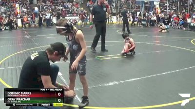 52 lbs Cons. Round 1 - Gray Prachar, St. Ignace WC vs Dominic Marrs, Big Rapids Cardinals