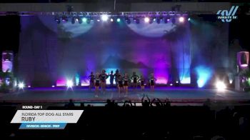 Florida Top Dog All Stars - Ruby [2023 L1.1 Senior - PREP Day 1] 2023 The American Open Orlando Nationals