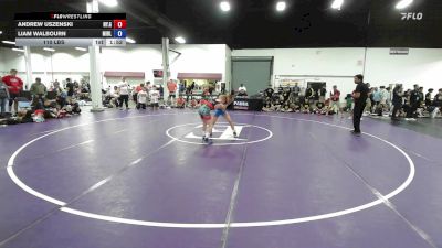110 lbs Andrew Uszenski, New York Gold vs Liam Walbourn, Missouri Blue
