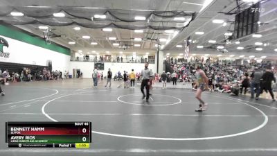 95 lbs Champ. Round 1 - Bennett Hamm, Slyfox vs Avery Rios, Lions Wrestling Academy