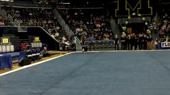 Michigan (Sachi Sugiyama) - 9.675