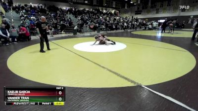 106 lbs Cons. Round 4 - Kaelib Garcia, Temecula Valley vs Vander Tran, Centennial (Nevada)