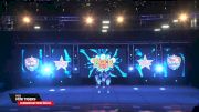 YCCS - Mini Tigers [2026 Elementary Perf Small Day 2] 2026 US Open Cheerleading & Dance Championship