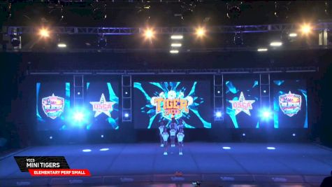 YCCS - Mini Tigers [2026 Elementary Perf Small Day 2] 2026 US Open Cheerleading & Dance Championship