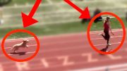 Dog Runs Down Leader And Wins Track Race!