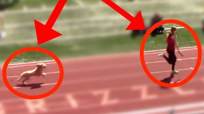 Dog Runs Down Leader And Wins Track Race!