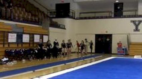 Yale (Joyce Li) - 9.325