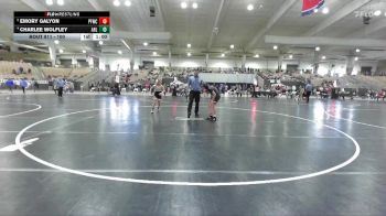 100 lbs Quarterfinal - Emory Galyon, Pigeon Forge Wrestling Club vs Charlee Wolfley, White Buffalo Wrestling Academy