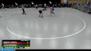 150 lbs Cons. Round 3 - Anthony Agriesti, Florida vs Damian Rousseau, South Side Wrestling Club