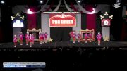 Pro Cheer - IceHawks [2025 L2 Junior - Flex - D2 - Small Day 1] 2025 ASC Battle Under the Big Top Grand Nationals