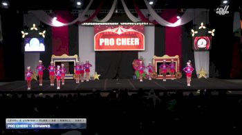 Pro Cheer - IceHawks [2025 L2 Junior - Flex - D2 - Small Day 1] 2025 ASC Battle Under the Big Top Grand Nationals