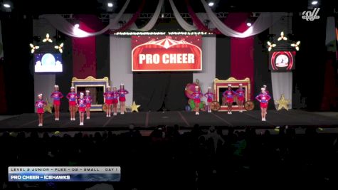 Pro Cheer - IceHawks [2025 L2 Junior - Flex - D2 - Small Day 1] 2025 ASC Battle Under the Big Top Grand Nationals
