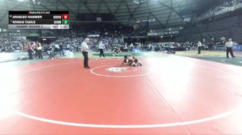 Boys 3A 175 lbs Champ. Round 2 - Roman Tabile, Evergreen (Vancouver) vs Araeleo Hammer, North Central
