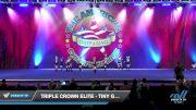 Triple Crown Elite - TINY GEMS [2022 L1 Tiny - Novice - Restrictions - D2 Day 1] 2022 The American Royale Sevierville Nationals DI/DII