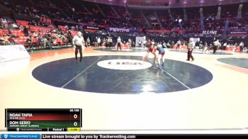 3A 145 lbs Quarterfinal - Dom Serio, Aurora (West Aurora) vs Noah Tapia, Moline (H.S.)