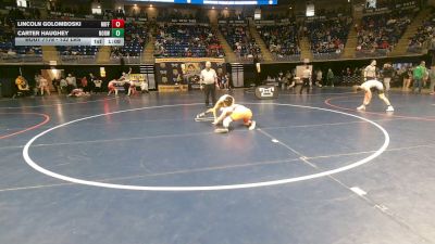 132 lbs Round Of 32 - Lincoln Golomboski, Mifflinburg vs Carter Haughey, Norwin