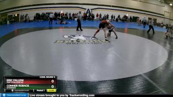 149 lbs Cons. Round 3 - Eric Falleni, East Stroudsburg vs Conner Roback, Otterbein