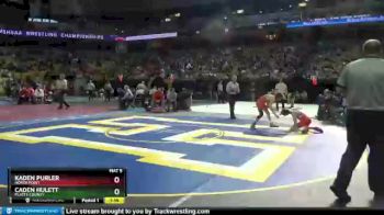106 lbs Quarterfinal - Kaden Purler, North Point vs Caden Hulett, Platte County