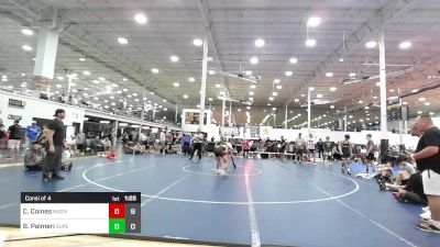 115 lbs Consi Of 4 - CJ Caines, Mat Assassins vs Bennet Palmeri, Superior Elite