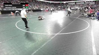 D1-113 lbs Semifinal - Treynor Curtin, Reedsburg Area vs Zahn Beal, Arrowhead