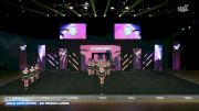 Gold Cats Cheer - GC Senior Ladies [2026 IO 4 Day 1] 2026 Summer All Level Championship West