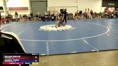 165 lbs Placement Matches (8 Team) - William Barlow, Tennessee vs Romeko Young, Minnesota Red