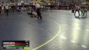 157 lbs 2nd Wrestleback (16 Team) - Maddox Simcoe, Grand Valley State vs Dalton Schams, Upper Iowa