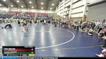 67 lbs Quarters & Wb (16 Team) - Tate Nielson, South Central Utah vs Kaden Aguayo, Team Champs