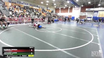 113 lbs Quarterfinal - Anthony Lucio, Fountain Valley vs Barron Zepeda, Laguna Beach