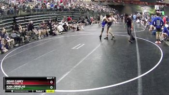 117 lbs Semis & 1st Wrestleback (8 Team) - Kain Ornelas, Nebraska Blue vs Adam Carey, Iowa USA Grey