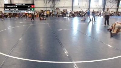 Silver 125 lbs Cons. Round 2 - Ryan Tschetter, Rochester Community & Tech. College vs Cole Gentsch, Wisconsin-La Crosse